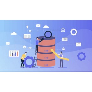 Complete DBMS: ER Modeling SQL and Concurrency Control