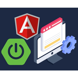 Full Stack Spring Boot API with Angular (ADVANCED)