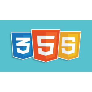 Responsive Website Design Course With HTML CSS JS